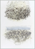 KT 2017 006
<br/>
Plantaardig XV
<br/>
<em>Ploos van Amstel, Jaap (1926-2022)</em>